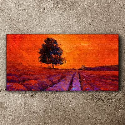 Foto auf leinwand Sonnenuntergang über den Feldern