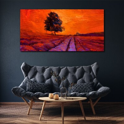Foto auf leinwand Sonnenuntergang über den Feldern