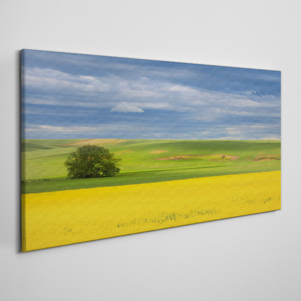 Foto auf leinwand Gelbe Felder unter blauem Himmel