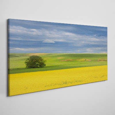 Foto auf leinwand Gelbe Felder unter blauem Himmel