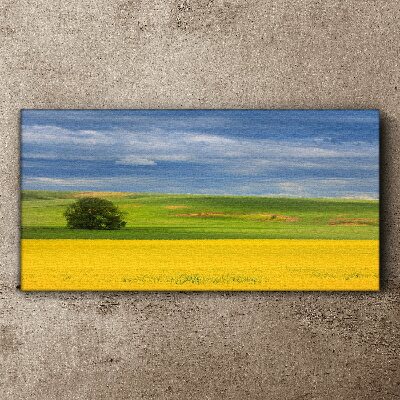 Foto auf leinwand Gelbe Felder unter blauem Himmel