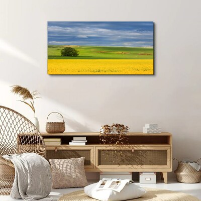 Foto auf leinwand Gelbe Felder unter blauem Himmel
