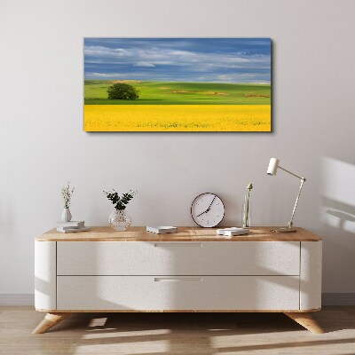 Foto auf leinwand Gelbe Felder unter blauem Himmel