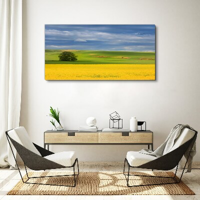 Foto auf leinwand Gelbe Felder unter blauem Himmel