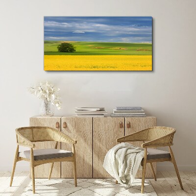 Foto auf leinwand Gelbe Felder unter blauem Himmel