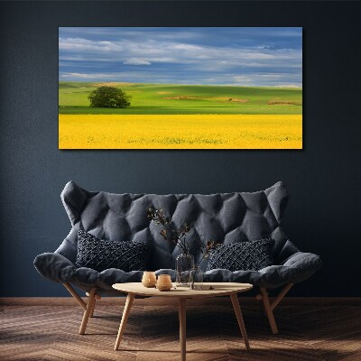 Foto auf leinwand Gelbe Felder unter blauem Himmel