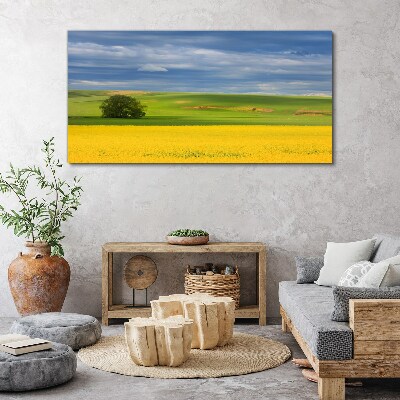 Foto auf leinwand Gelbe Felder unter blauem Himmel