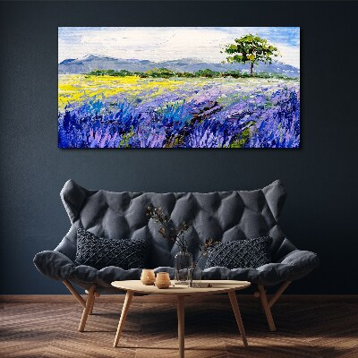Foto auf leinwand Lavendelfelder im Tageslicht