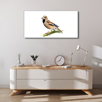 Foto auf leinwand Ein Vogel auf einem Ast