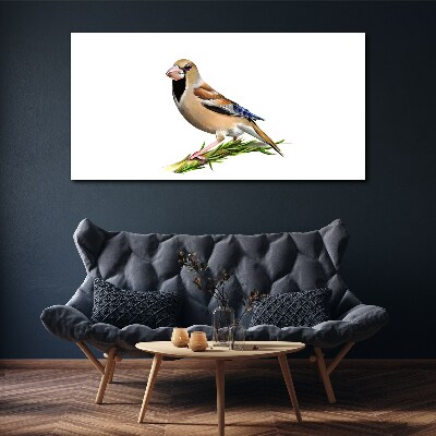 Foto auf leinwand Ein Vogel auf einem Ast