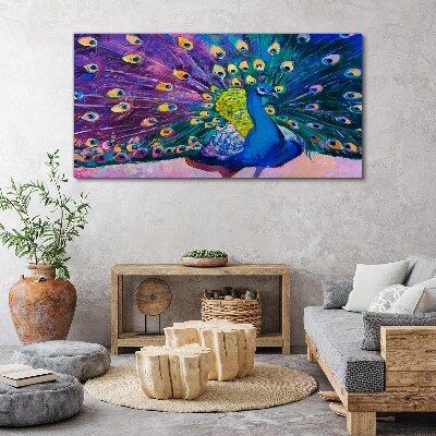 Foto auf leinwand Ein bunter Pfau in Frühlingsaura