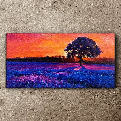 Foto auf leinwand Sonnenuntergang über einem lila Feld