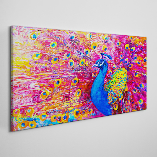 Bild auf leinwand Bunter Pfau im Frühlingsglanz