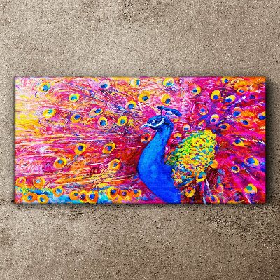 Bild auf leinwand Bunter Pfau im Frühlingsglanz