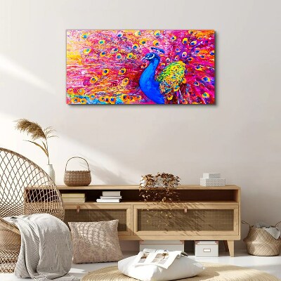 Bild auf leinwand Bunter Pfau im Frühlingsglanz