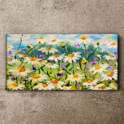 Foto leinwand Ein Blumenparadies in der Sommersonne