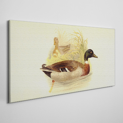 Bild auf leinwand Enten im Gras