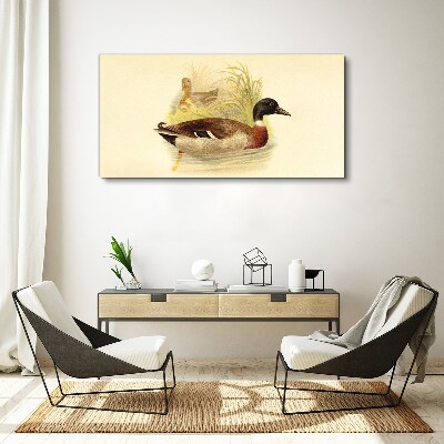 Bild auf leinwand Enten im Gras