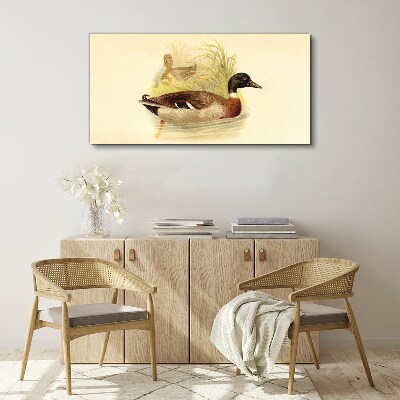 Bild auf leinwand Enten im Gras