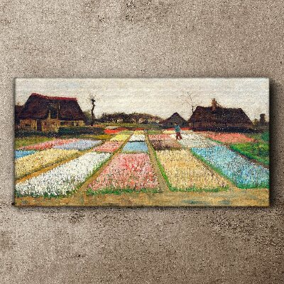 Bild auf leinwand Frühlingstulpenfelder