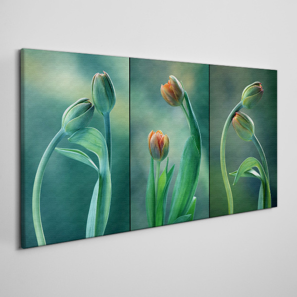 Foto auf leinwand Tulpen in Grüntönen