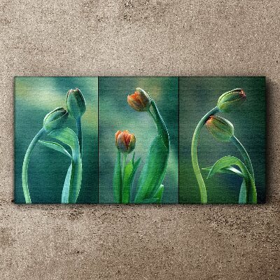 Foto auf leinwand Tulpen in Grüntönen