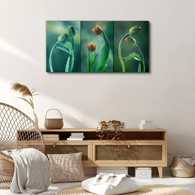 Foto auf leinwand Tulpen in Grüntönen
