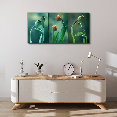 Foto auf leinwand Tulpen in Grüntönen