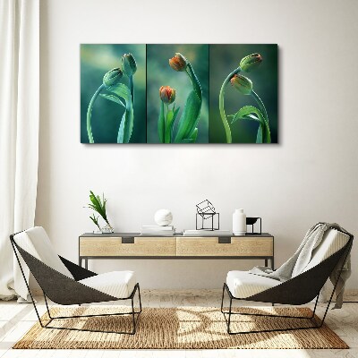 Foto auf leinwand Tulpen in Grüntönen