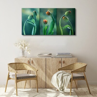 Foto auf leinwand Tulpen in Grüntönen