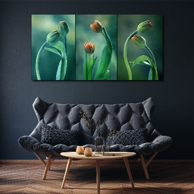 Foto auf leinwand Tulpen in Grüntönen