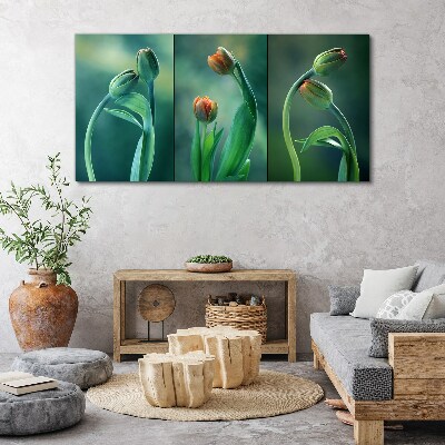 Foto auf leinwand Tulpen in Grüntönen
