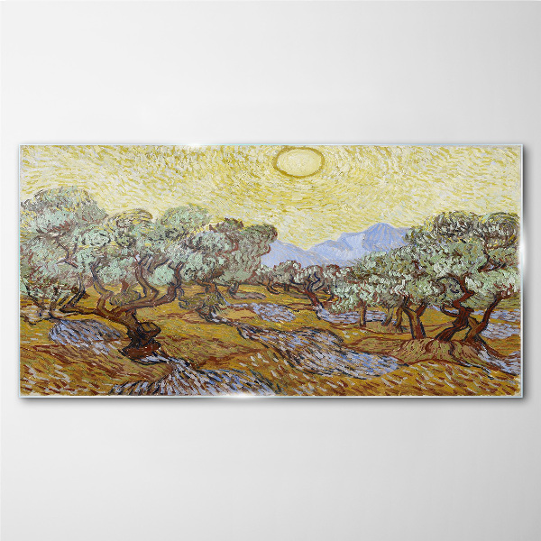 Glasbild Olivenbäume in der Sonne