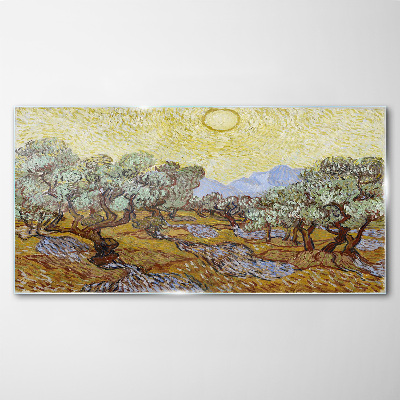 Glasbild Olivenbäume in der Sonne