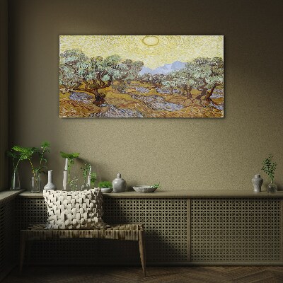 Glasbild Olivenbäume in der Sonne