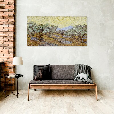 Glasbild Olivenbäume in der Sonne