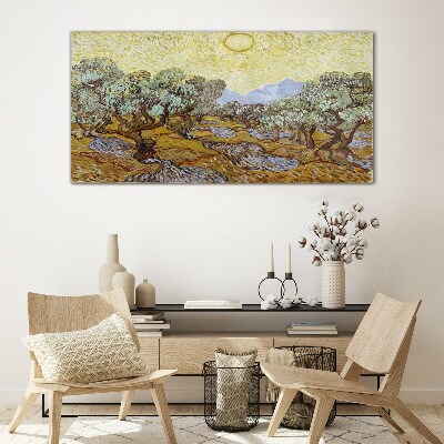 Glasbild Olivenbäume in der Sonne