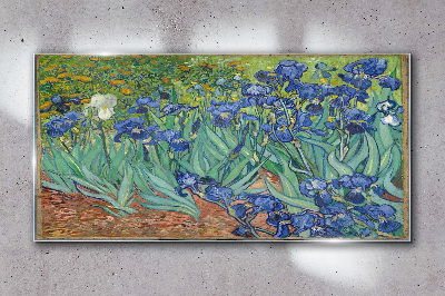 Glas bild Iris Van Gogh