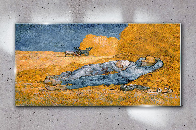 Glasbild Ruhen zwischen den goldenen Feldern