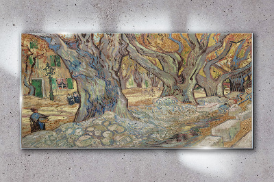 Foto auf glas Baumgesäumte Straße in der Frühlingssonne
