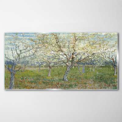 Glasbild Blühende Bäume in der Frühlingssonne
