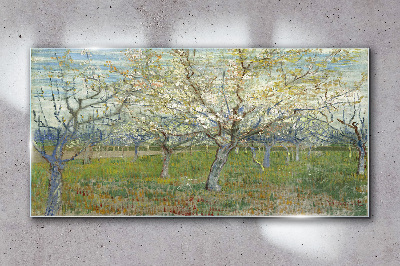 Glasbild Blühende Bäume in der Frühlingssonne