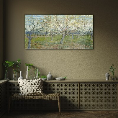 Glasbild Blühende Bäume in der Frühlingssonne