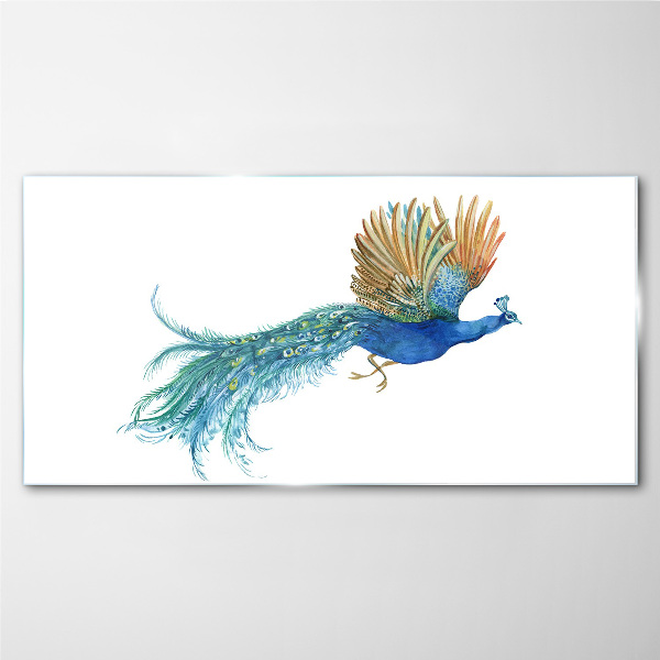 Glasbild Bunter Pfau in Bewegung