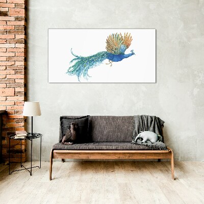 Glasbild Bunter Pfau in Bewegung
