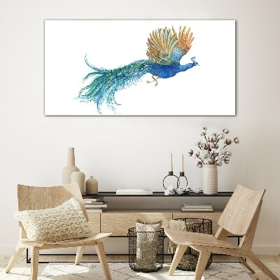 Glasbild Bunter Pfau in Bewegung