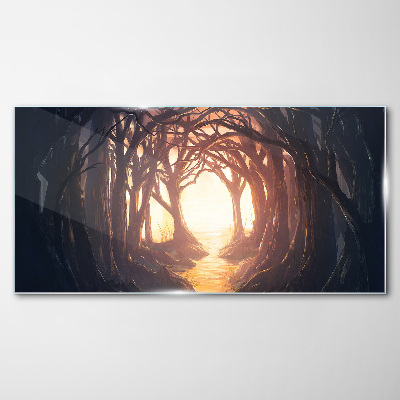 Glasbild Licht im Wald