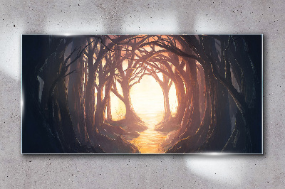 Glasbild Licht im Wald