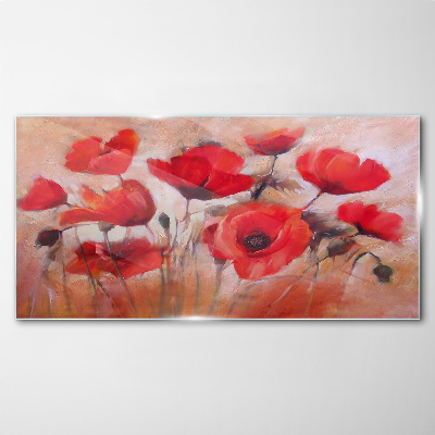 Foto auf glas Rote Mohnblumen auf pastellfarbenem Hintergrund