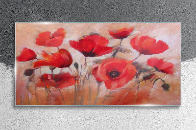 Foto auf glas Rote Mohnblumen auf pastellfarbenem Hintergrund